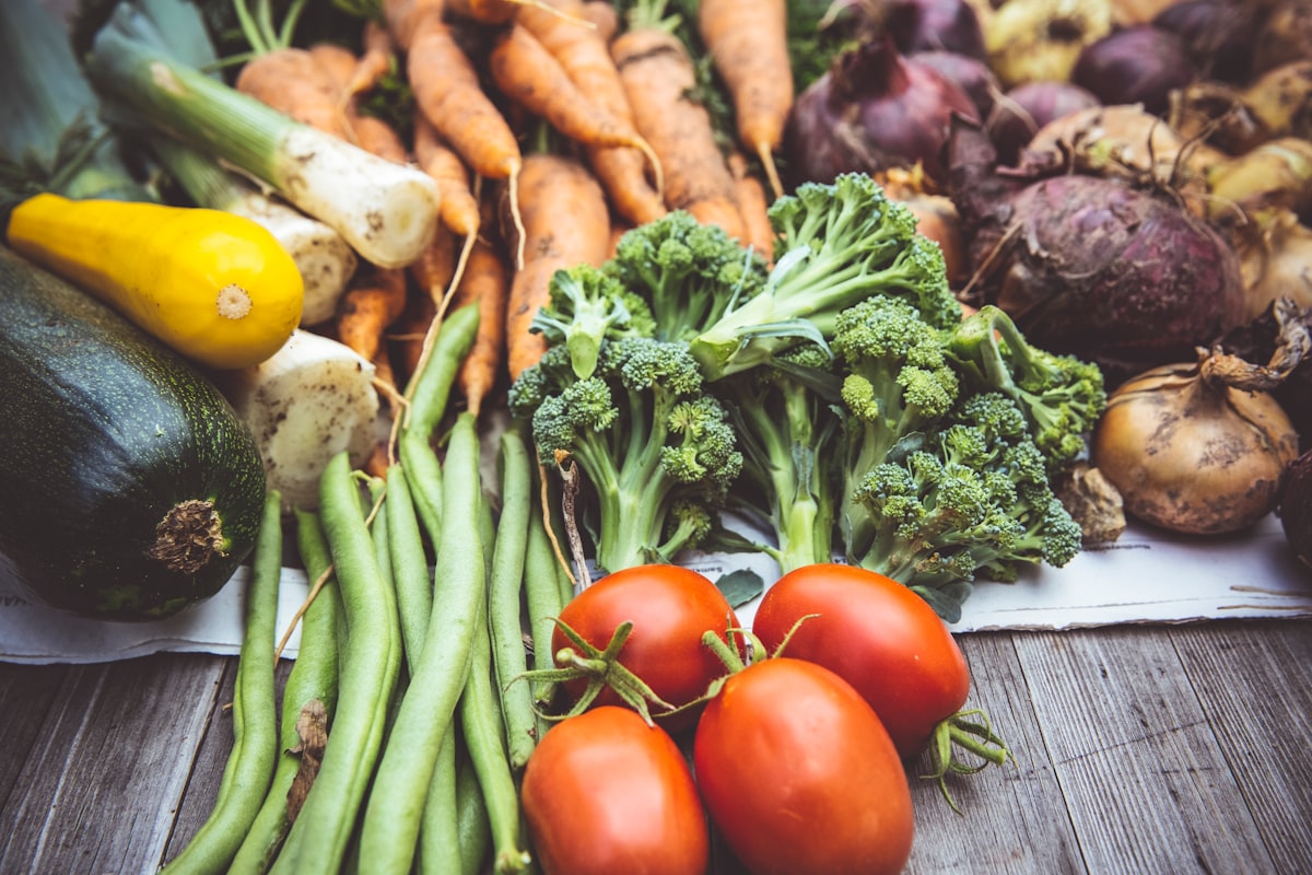 Magnesium and muscle function